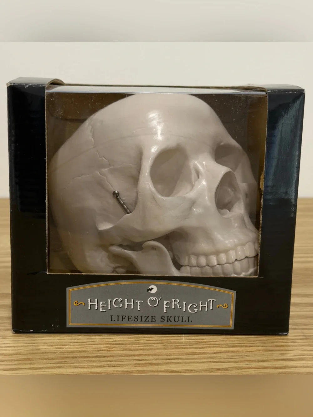 Restoration Hardware Skull Human Life Size Resin Vintage RH Y2K Halloween